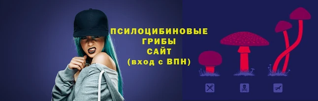 герыч Арсеньев
